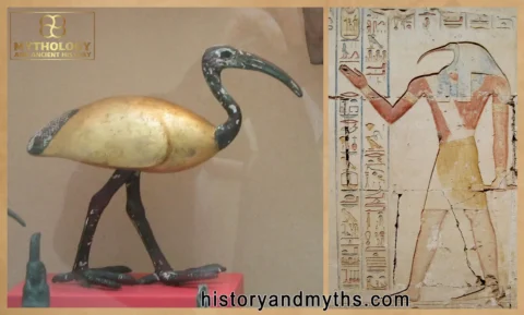 The-Ibis-Bird-Sacred-Symbol-of-the-God-Thoth