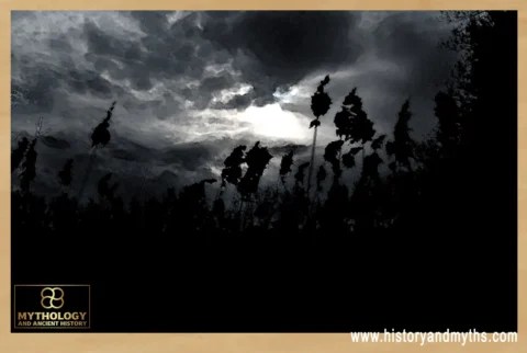 Finsternis_Natur