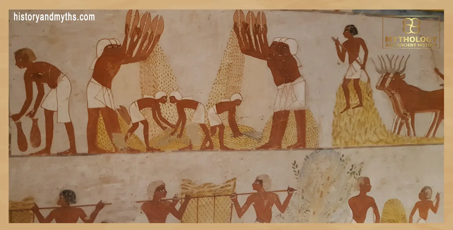 Harvest workers depicted in the Tomb of Menna, showing organized agricultural labor and crop collection in New Kingdom Egypt.