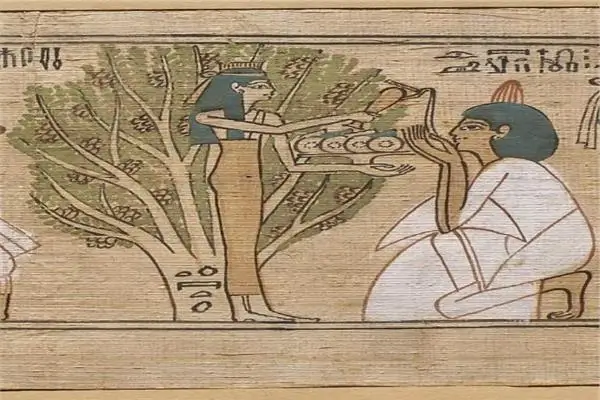 The Sycamore Tree in Ancient Egypt