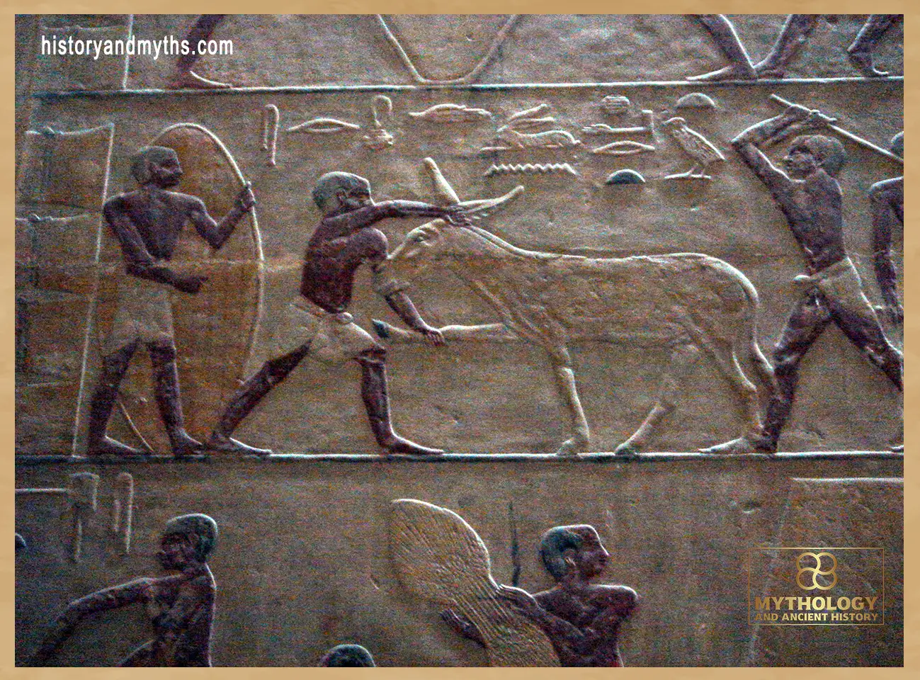 Relief detail from the Mastaba of Ti, Saqqara — depicting a mule refusing to move, illustrating the realities of animal labor, control, and resistance in daily Egyptian work life.
