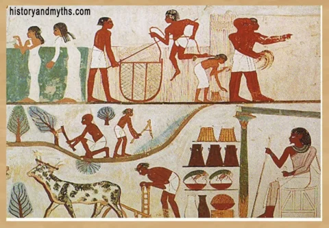 Agricultural scene showing men and women working in the fields