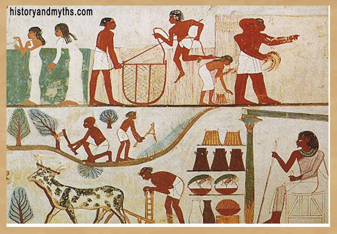 Agricultural scene showing men and women working in the fields