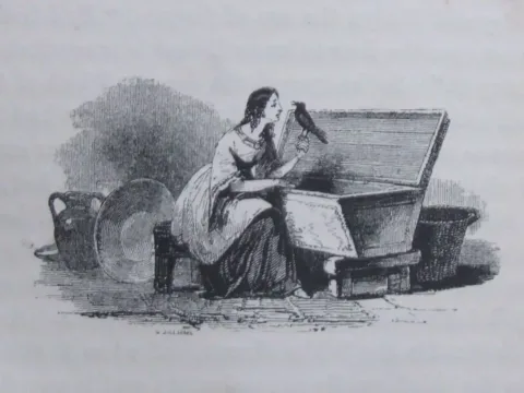Illustration by W. Williams, published in The Mabinogion (1877). Public Domain, via Wikimedia Commons.