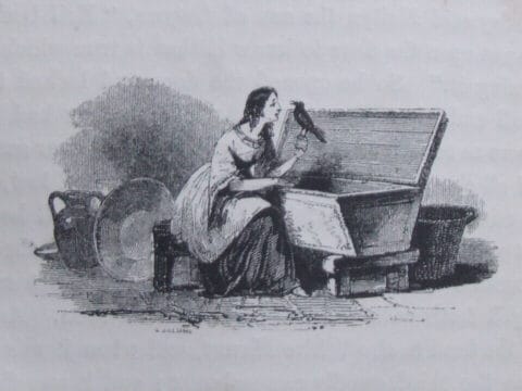 Illustration by W. Williams, published in The Mabinogion (1877). Public Domain, via Wikimedia Commons.